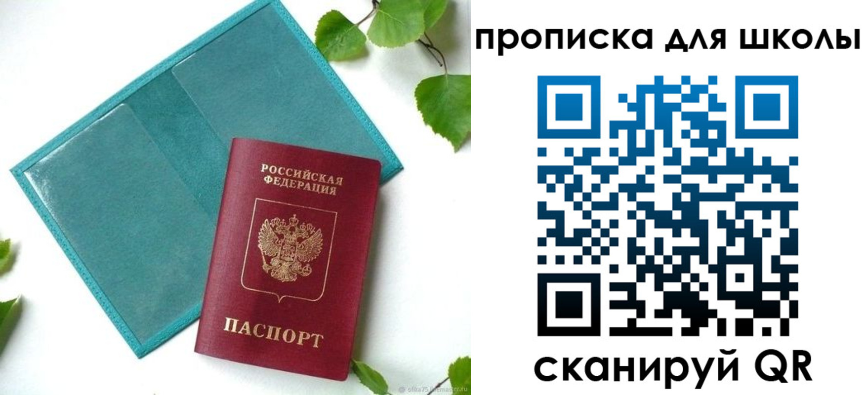 прописка в Коле